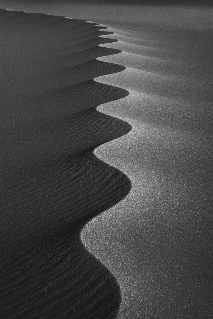 Biorhythms (2011) by Nik Barte on 500px.com