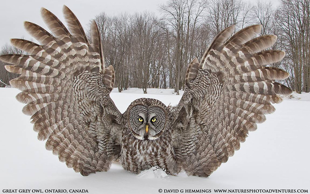 Over here by David Hemmings on 500px.com