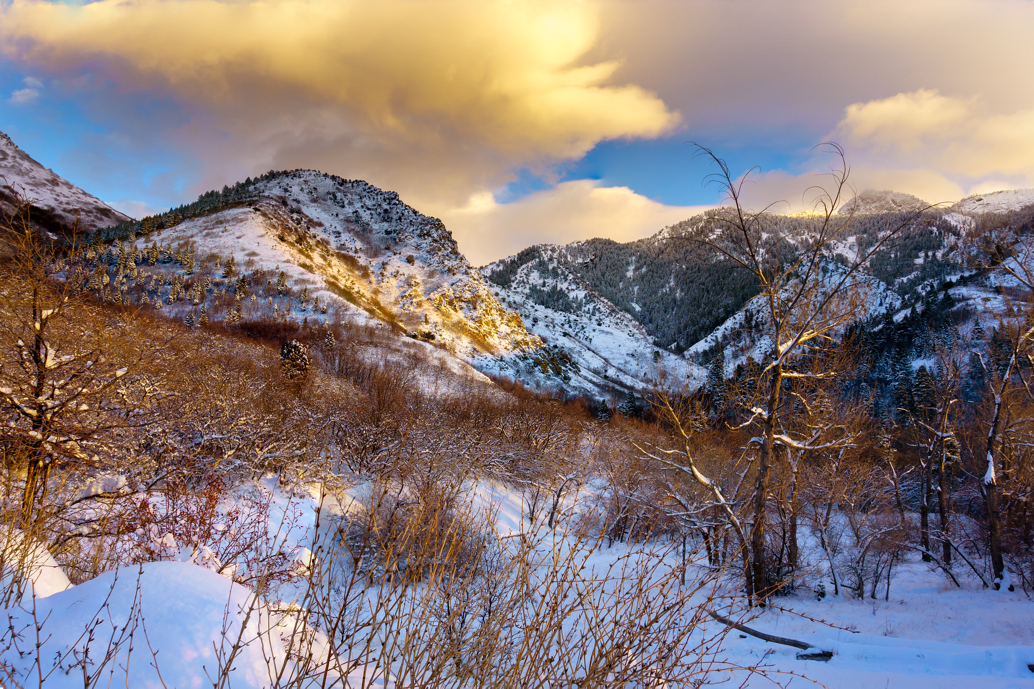 Wintery Wasatch