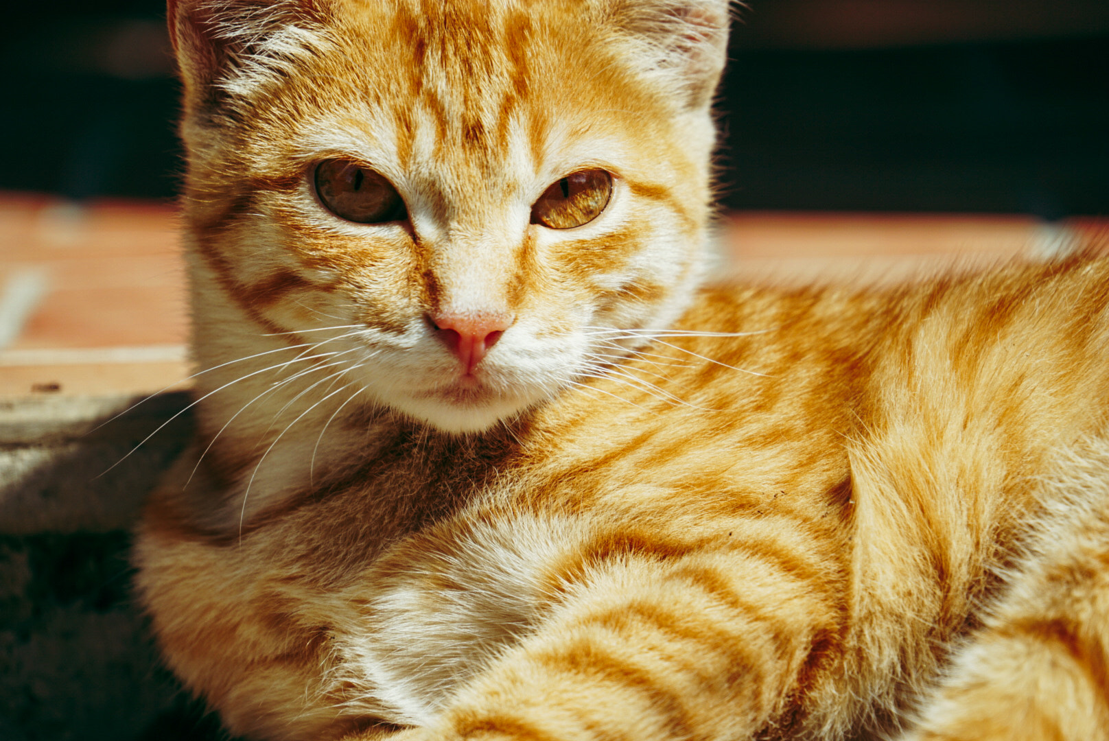 v2?sig=d93cc7daaa1d7cb8762ec7a7b4a4cc155afb7c36c27354bc769c53443a056bc7