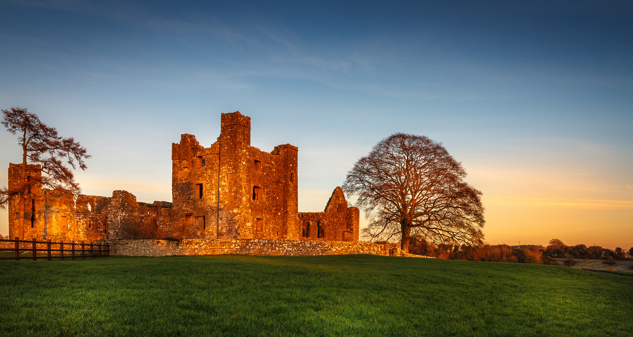 Bective Abbey