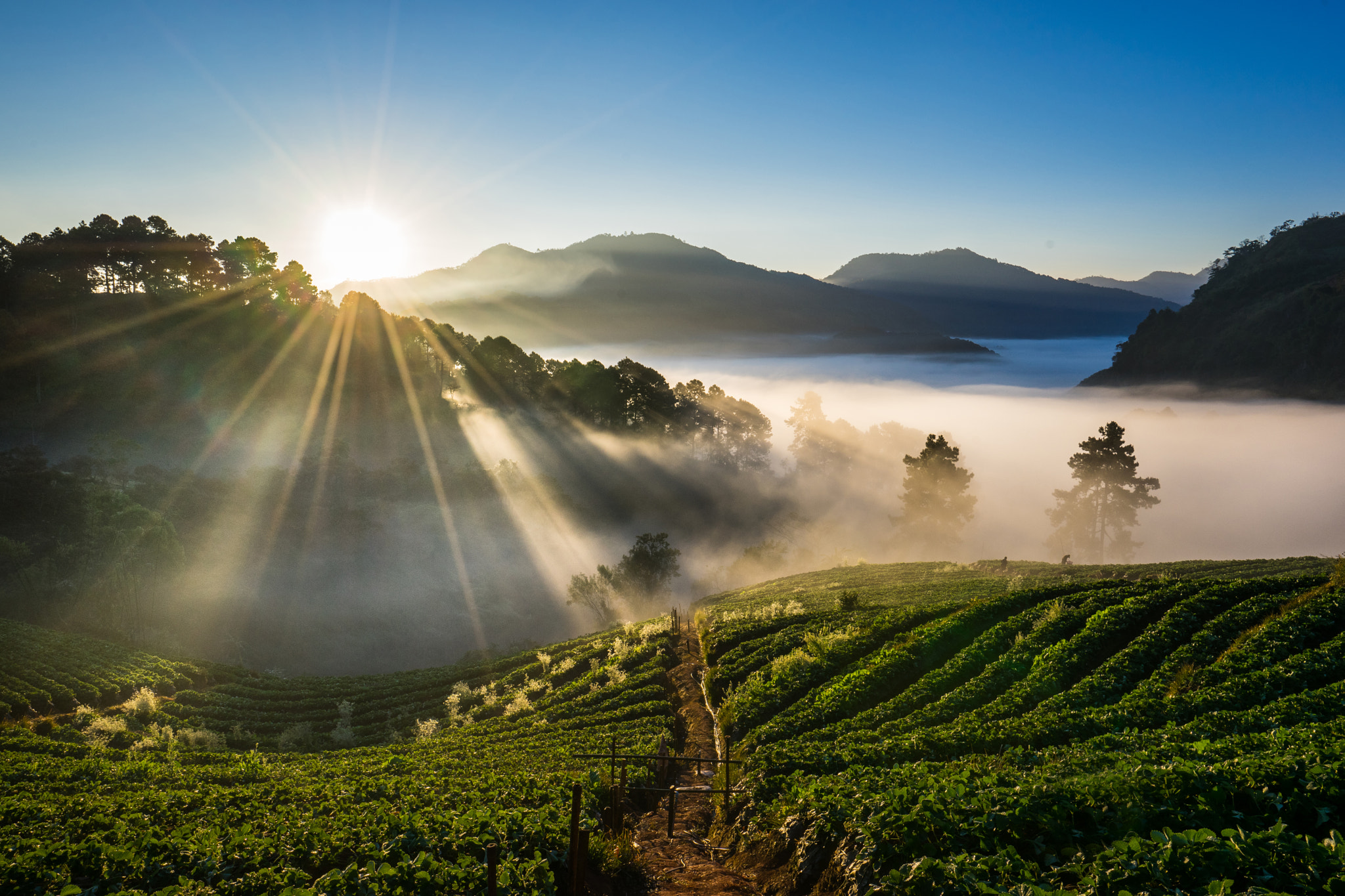 v2?sig=dd712f91bc64e7bdf2514e5877edc3e6d79d6a8bd66a9b48ec1c1ef3db0ee264