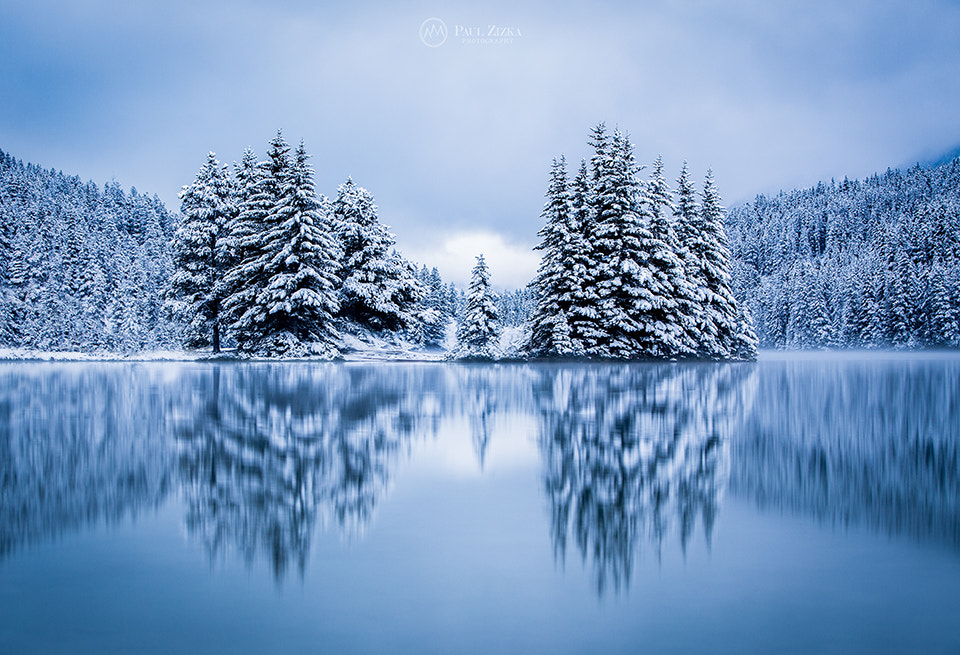 "Singled Out" by Paul Zizka on 500px.com