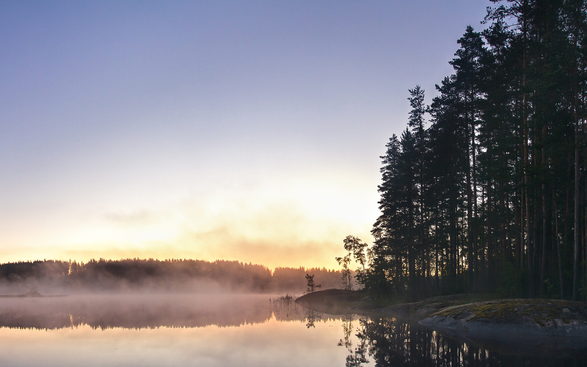 Foggy midsummer morning