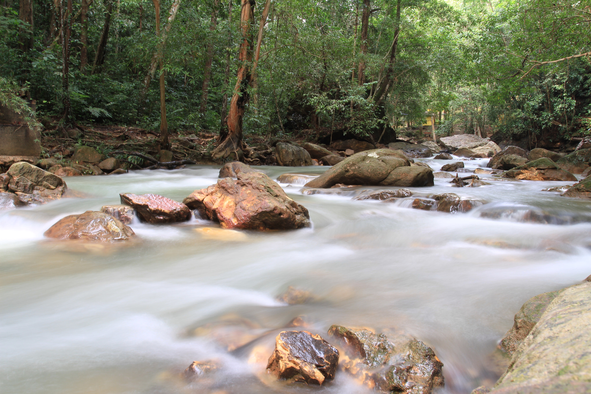 MOUNTAIN RIVERS