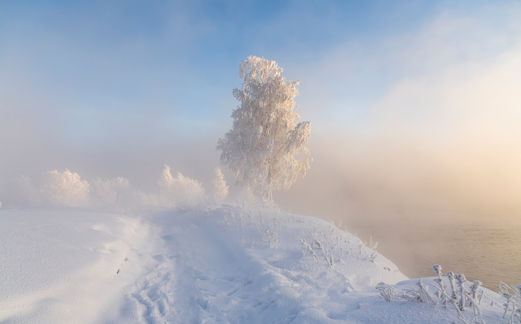 Winter magic by Sergey Anikin on 500px.com