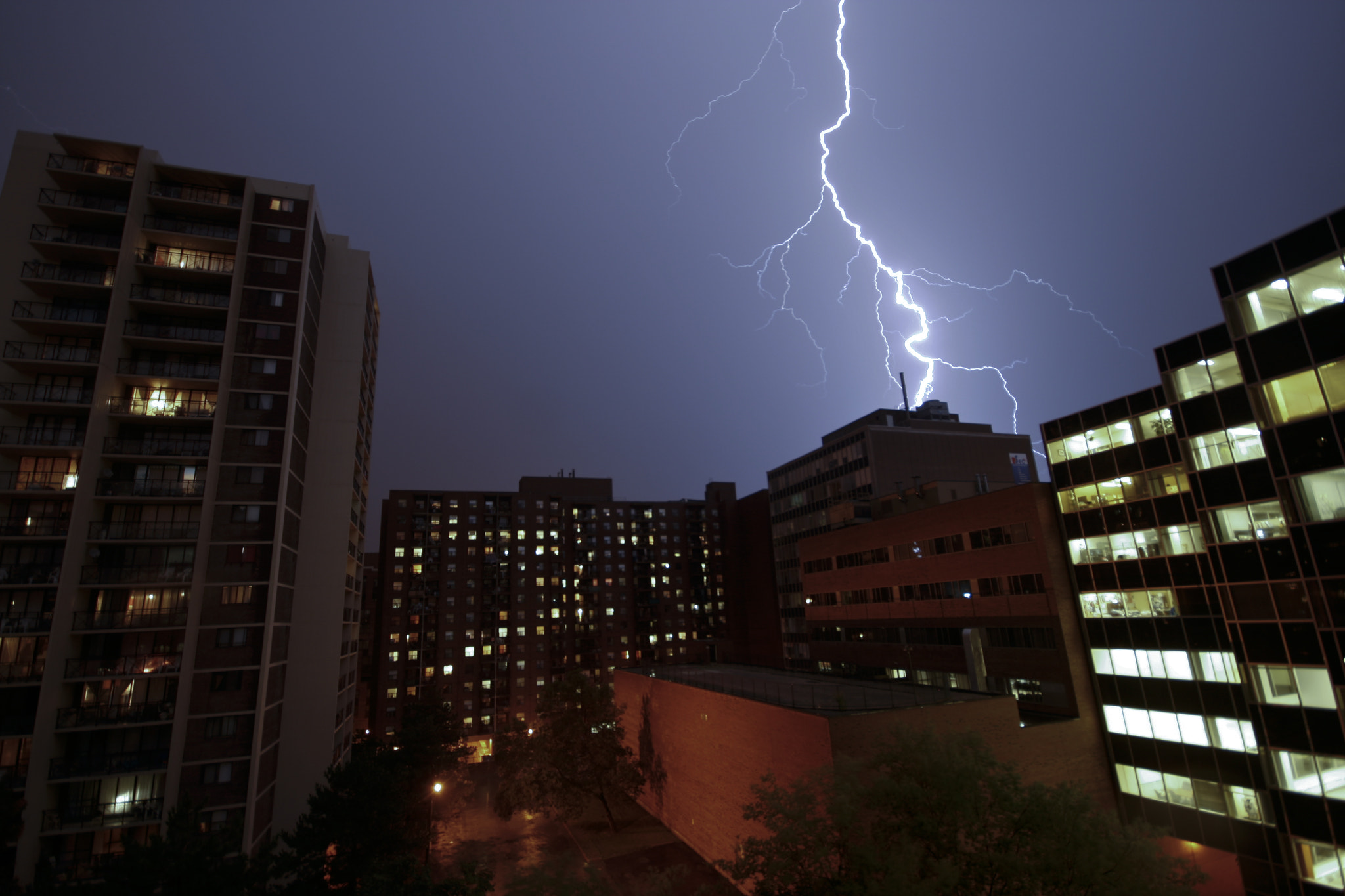 Toronto Thunder