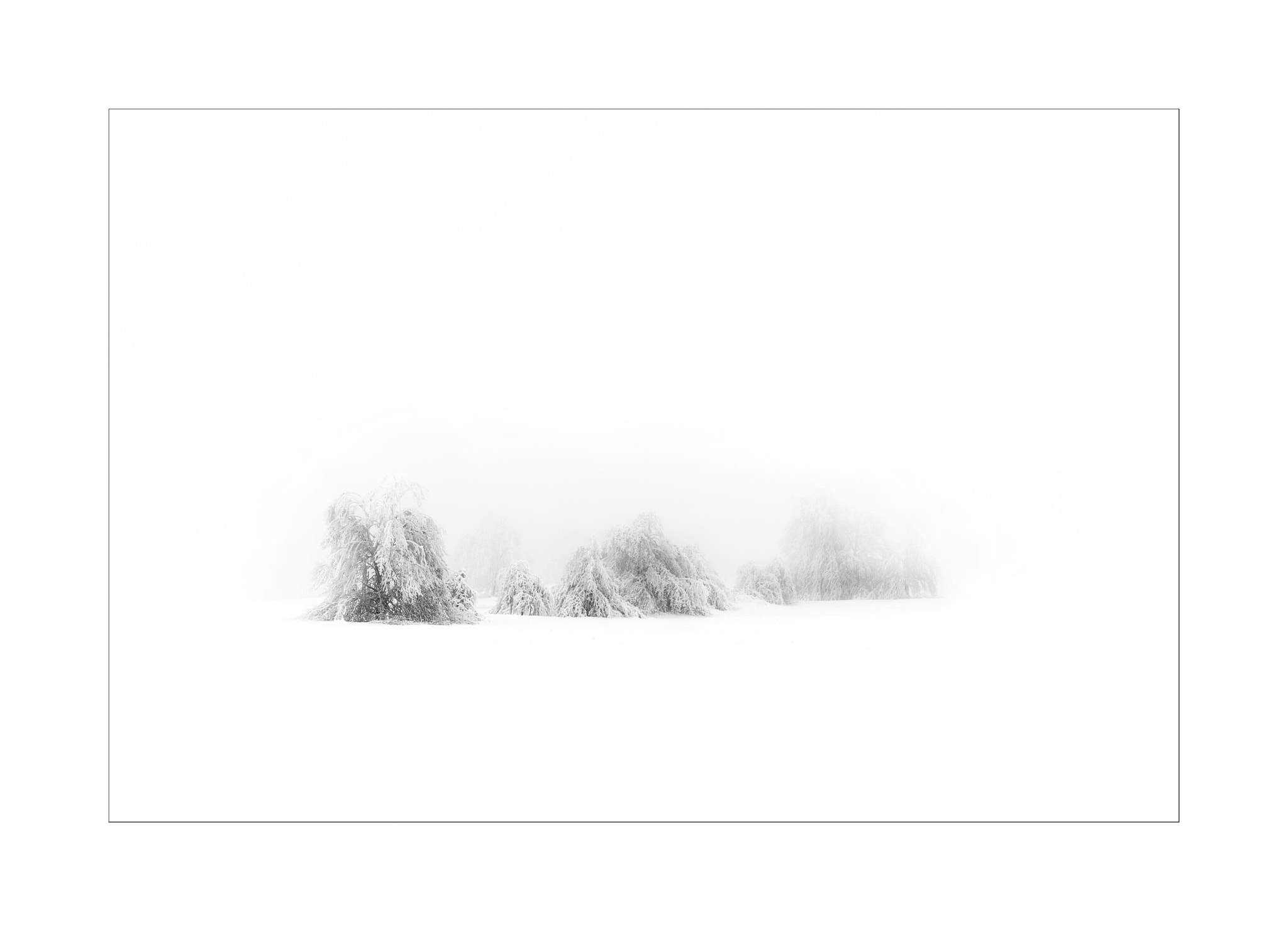 Nikon D4 sample photo. Winter landscape photography