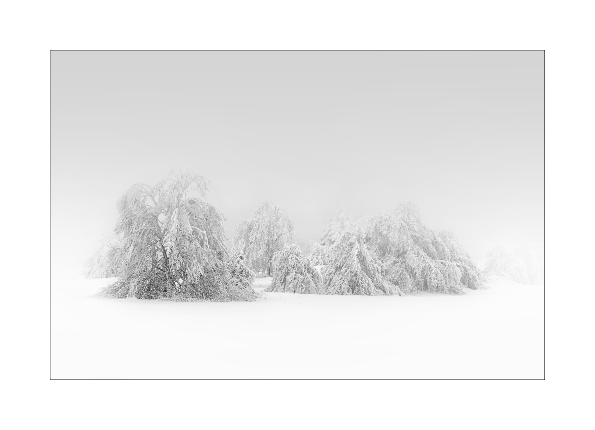 Nikon AF-S Nikkor 70-200mm F4G ED VR sample photo. Winter wonderland photography