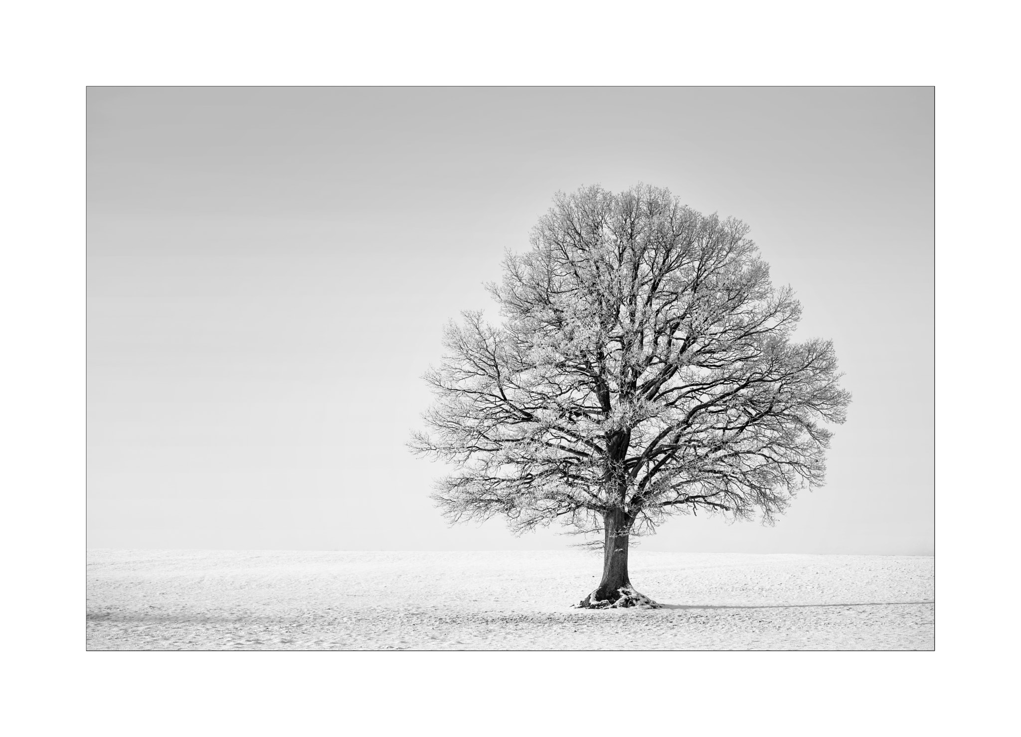 Nikon AF-S Nikkor 70-200mm F4G ED VR sample photo. Winterimpression photography