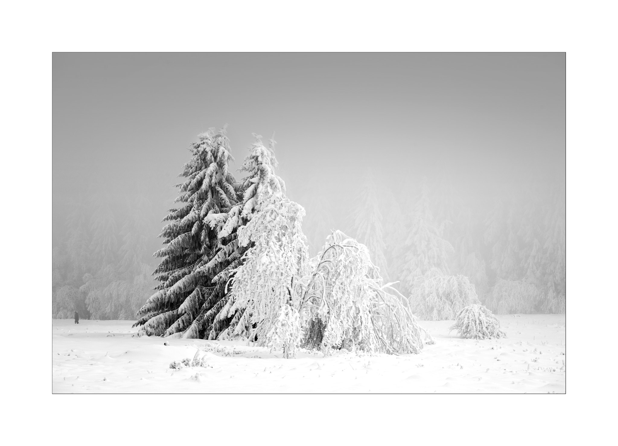 Nikon AF-S Nikkor 70-200mm F4G ED VR sample photo. Winterspaziergang photography