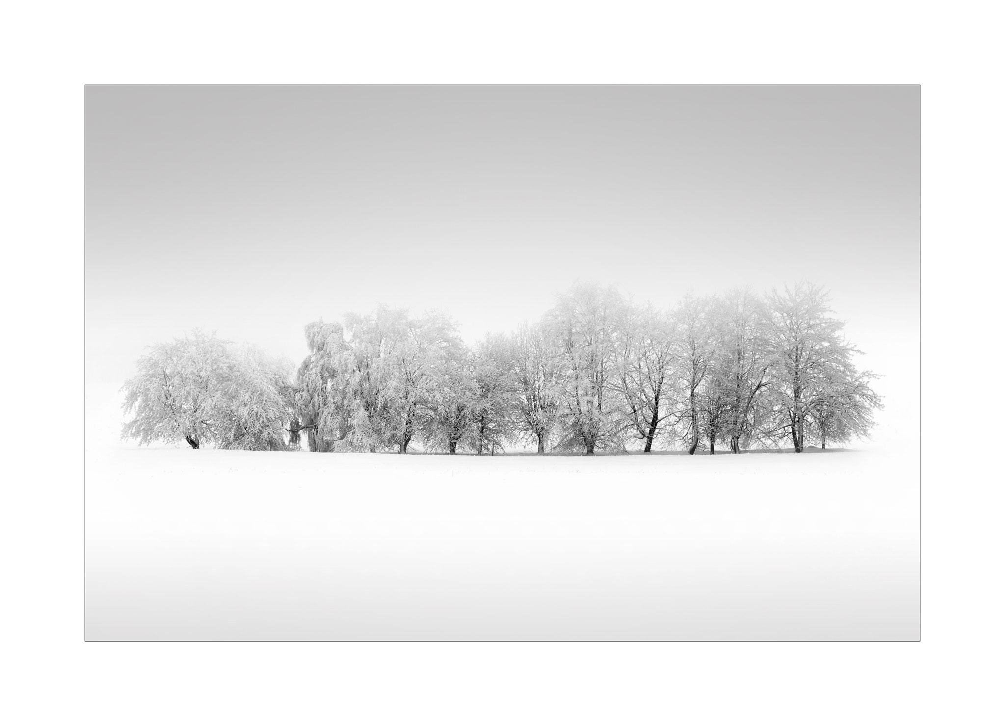 Nikon AF-S Nikkor 70-200mm F4G ED VR sample photo. Winterzauber photography