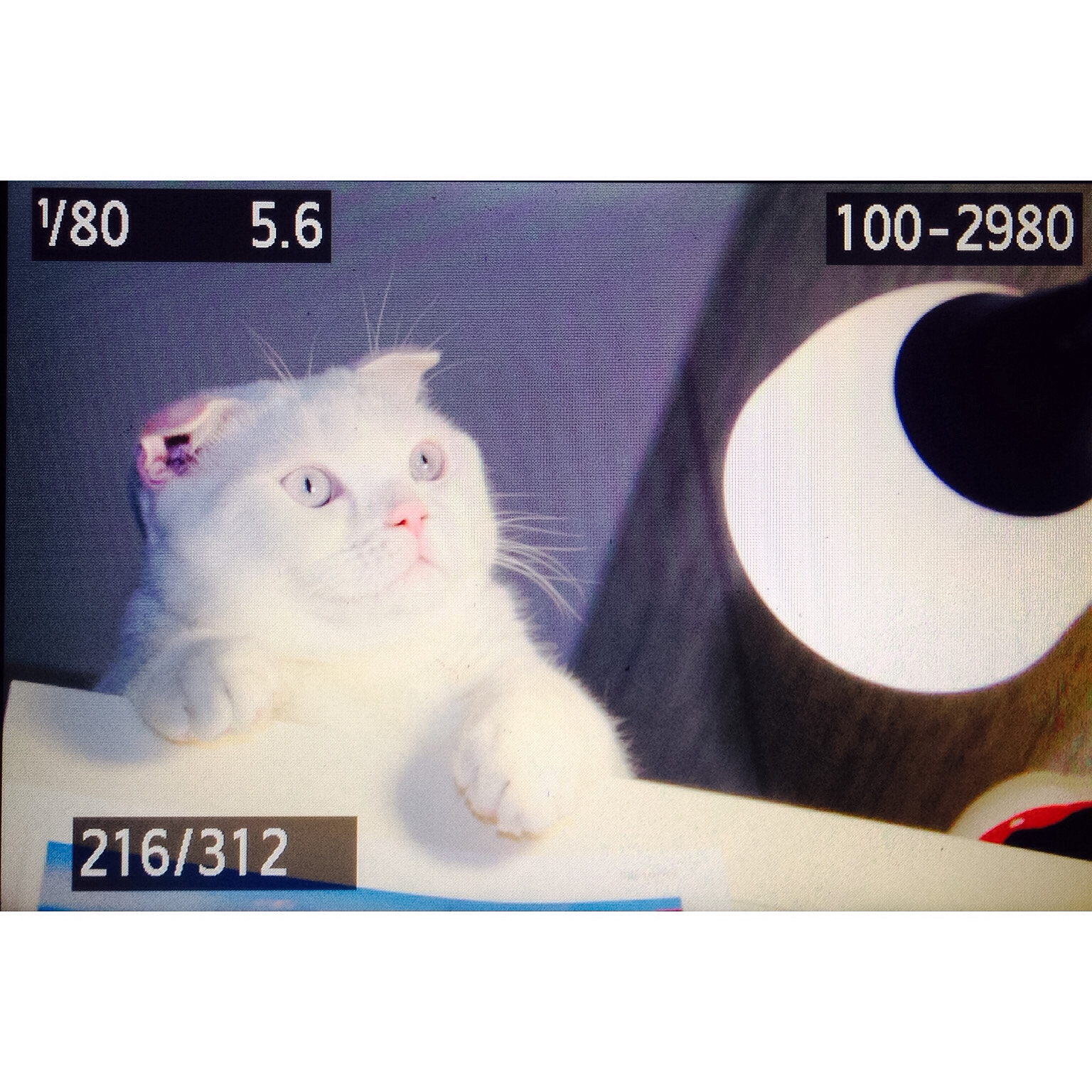 v2?sig=5bc98c6d6f5ea530ffdc1bbeae06edfb94005f294e40992158c7cd2b76433e88