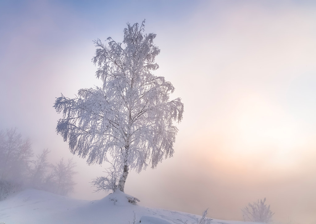 Frosty morning on Angara by Sergey Anikin on 500px.com