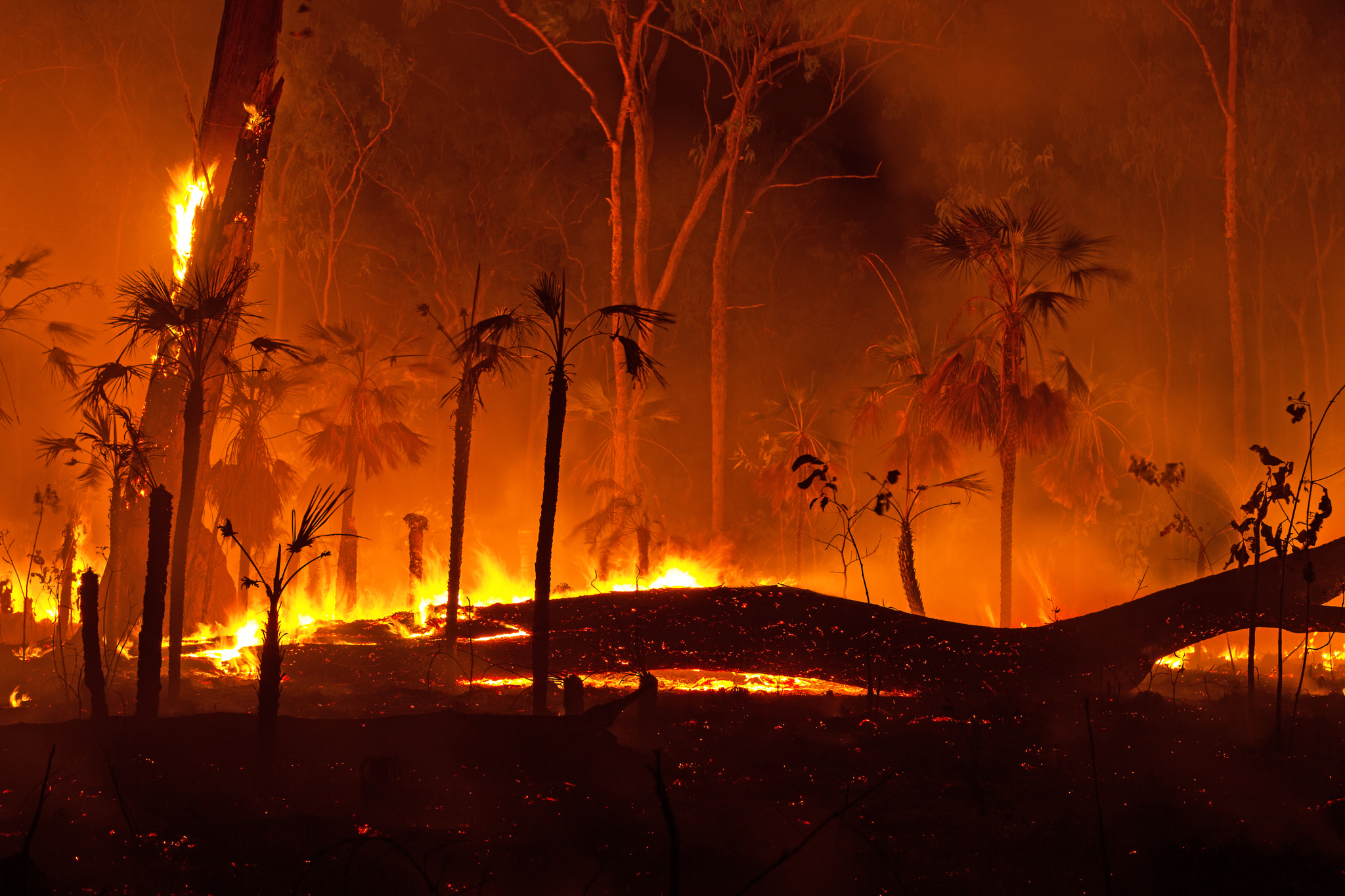 Late Season Bush Fire