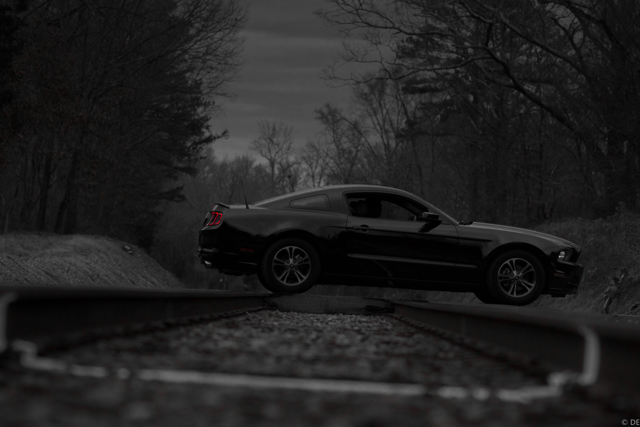 The ultimate beast. Ford Mustang