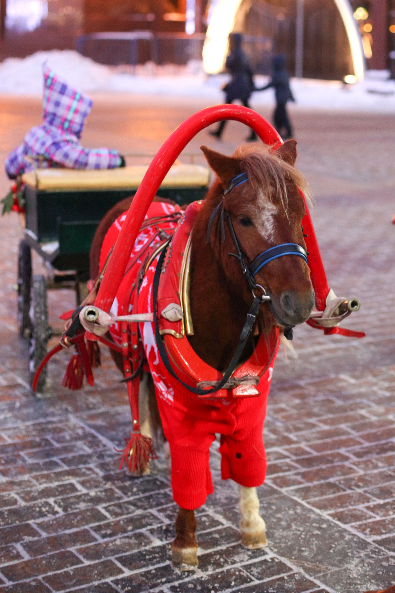 v2?sig=bca791491bdbd4e0814c7802620d1a67e8b806e0e84807f4160661360ec92456