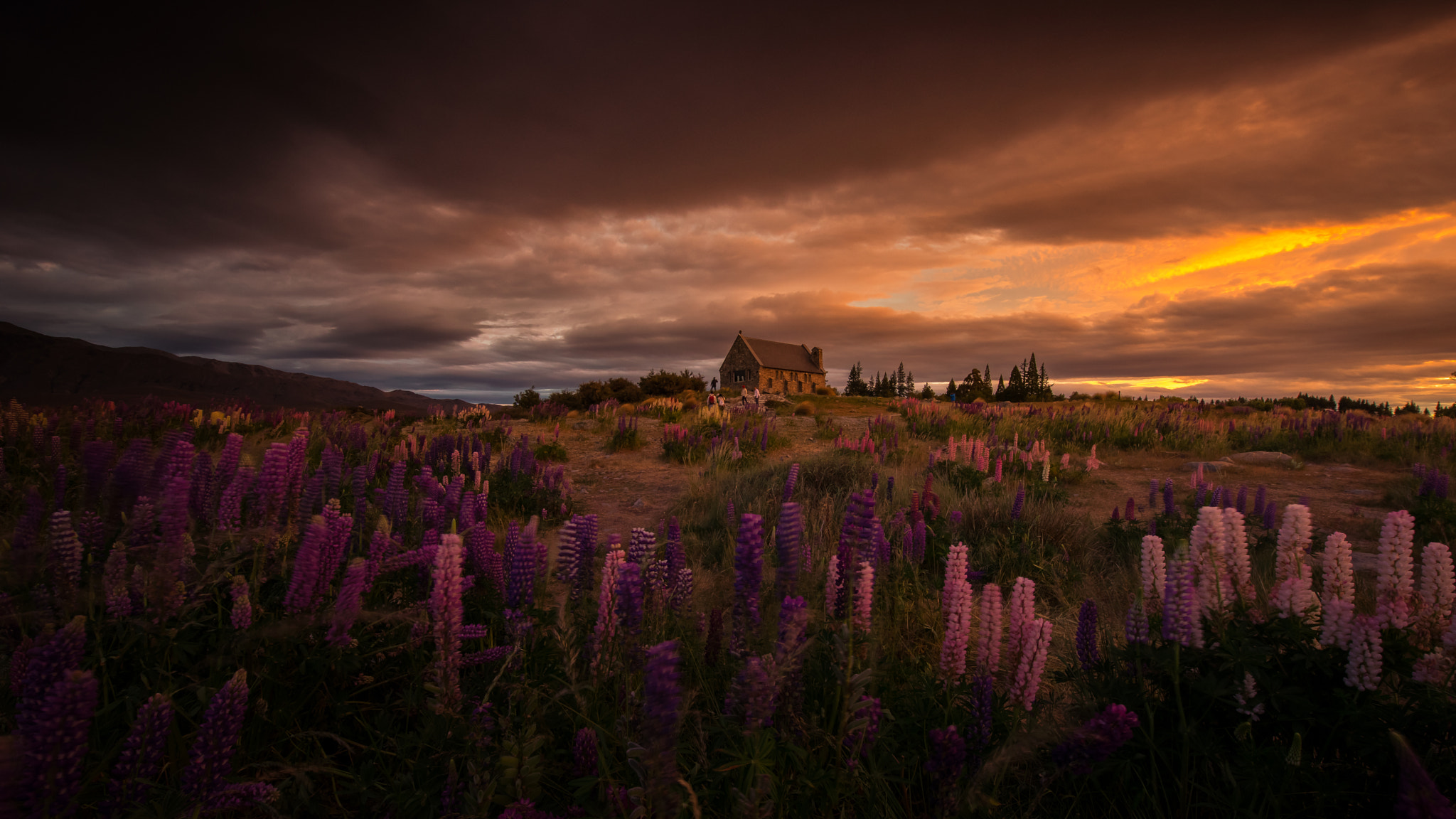 v2?webp=true&sig=7982cb7418353704d9cb1ba7004582f35e775a65c16c3766c6d870716d9a8f9c Du học New Zealand