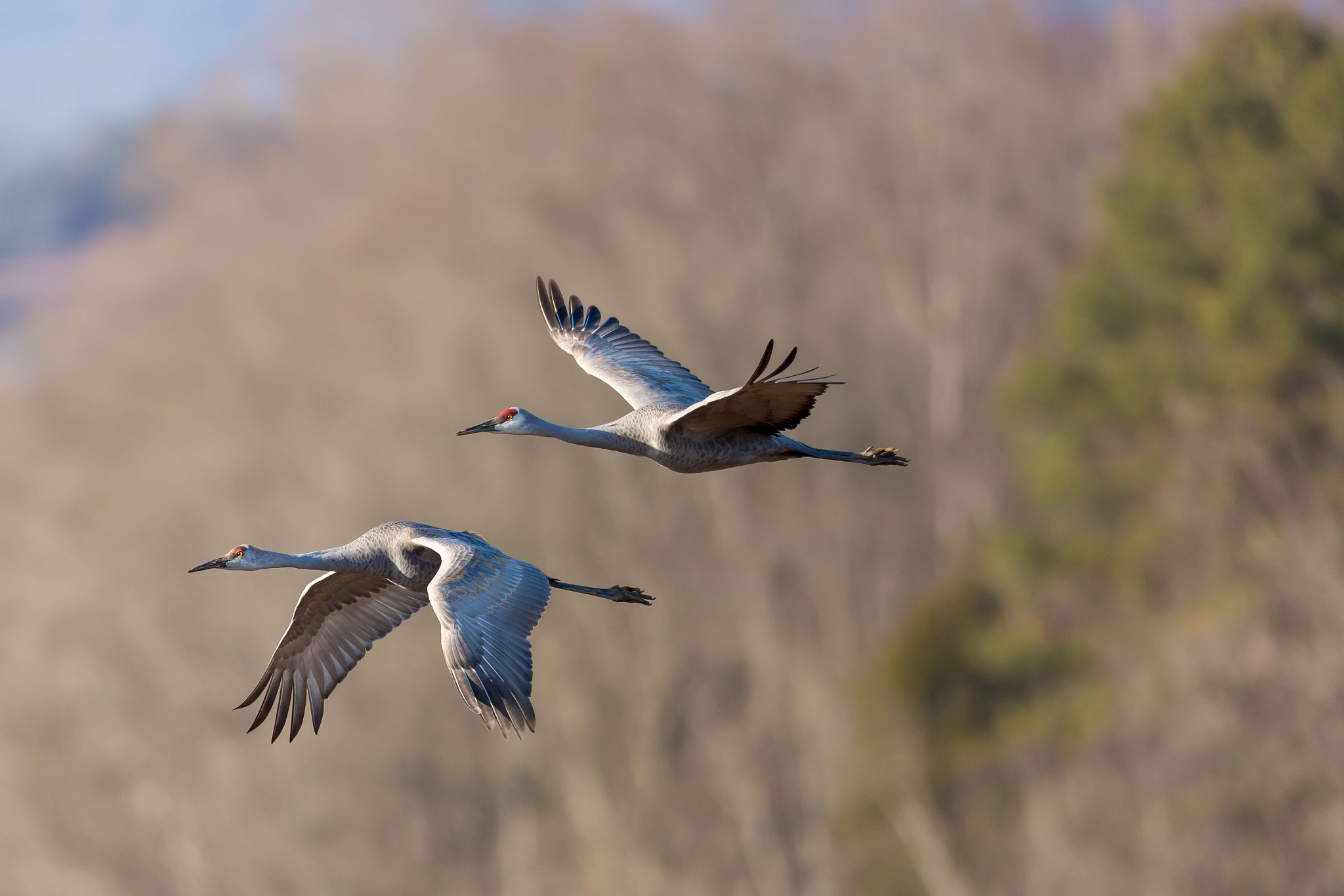 v2?sig=2f09d2b462f85ff6a7fad76d730f2d25a