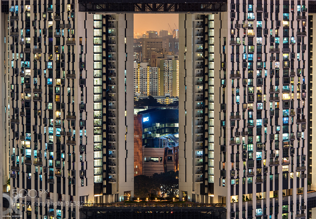 Nikon D810 sample photo. Welcome to the matrix photography