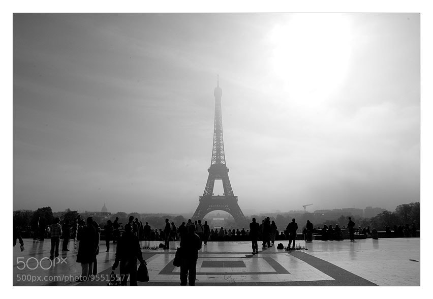 Nikon D200 sample photo. Untitled photography