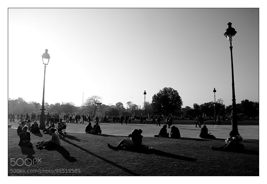 Nikon D200 sample photo. Untitled photography