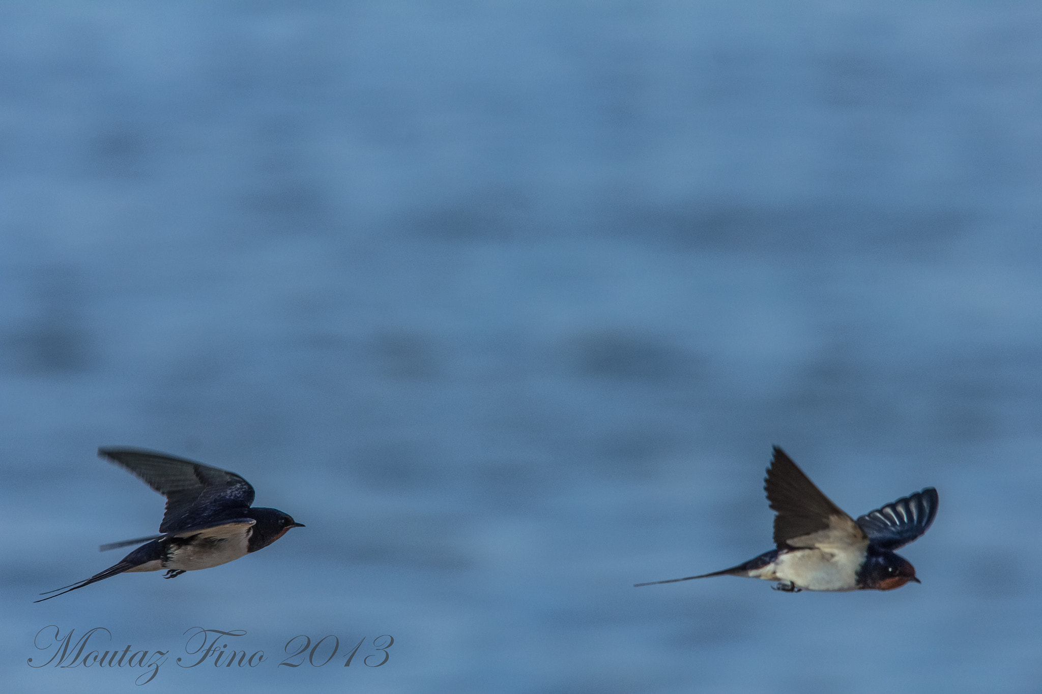 Sigma 150-500mm F5-6.3 DG OS HSM sample photo