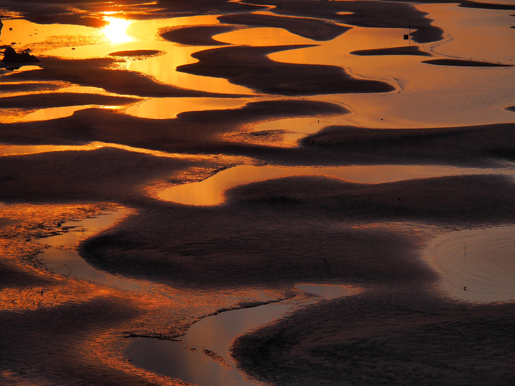 v2?sig=0f96f42091f554e42864b1d2df885774bbaa51f884ea7f2bea9d9563eacdf720