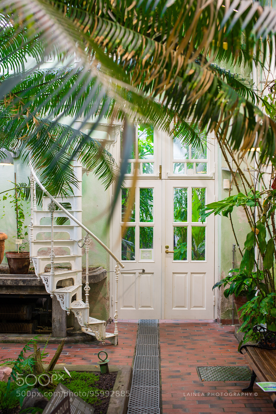 Sony Alpha DSLR-A850 sample photo. Botanic garden photography