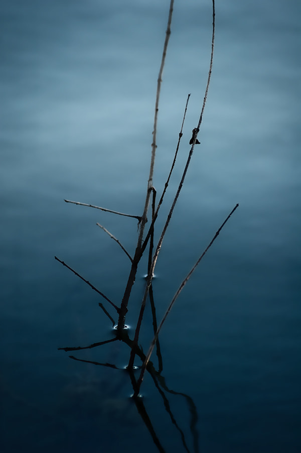 Blue Solitude