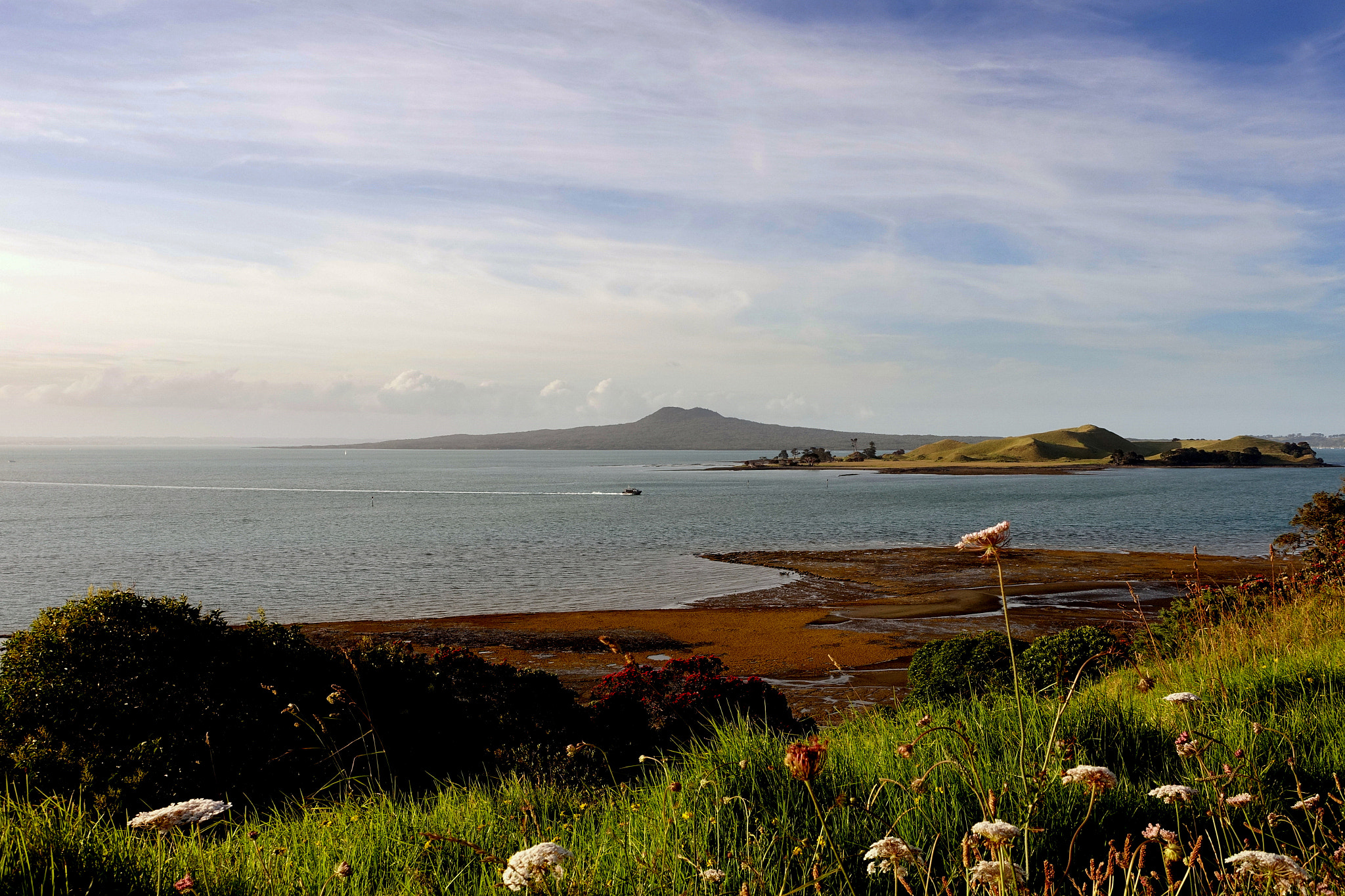 Rangitoto Island & Browns Island