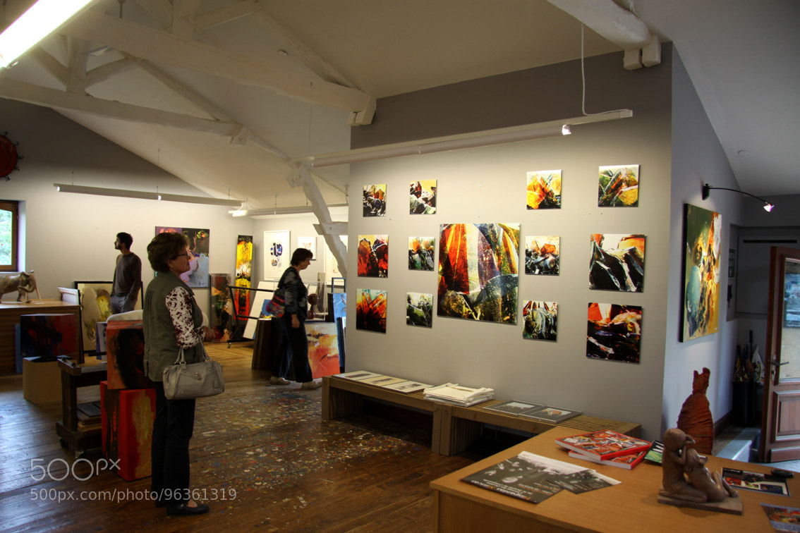 Canon EOS 50D sample photo. Galerie magis photography