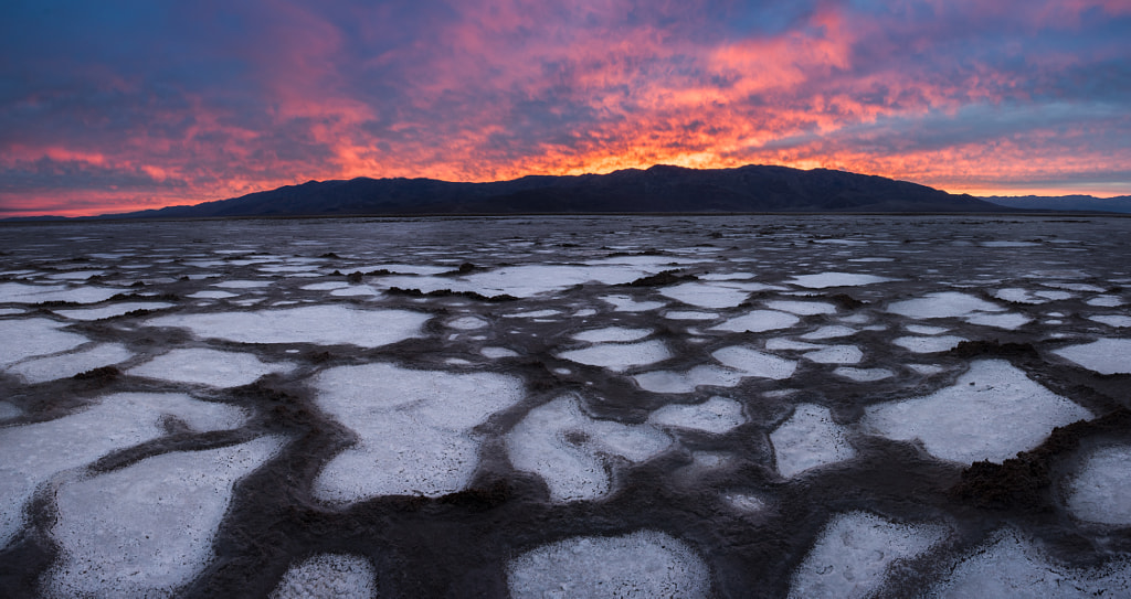 Brian Matiash Ondrej Pakan And Iurie Belegurschi On What Makes A Images, Photos, Reviews