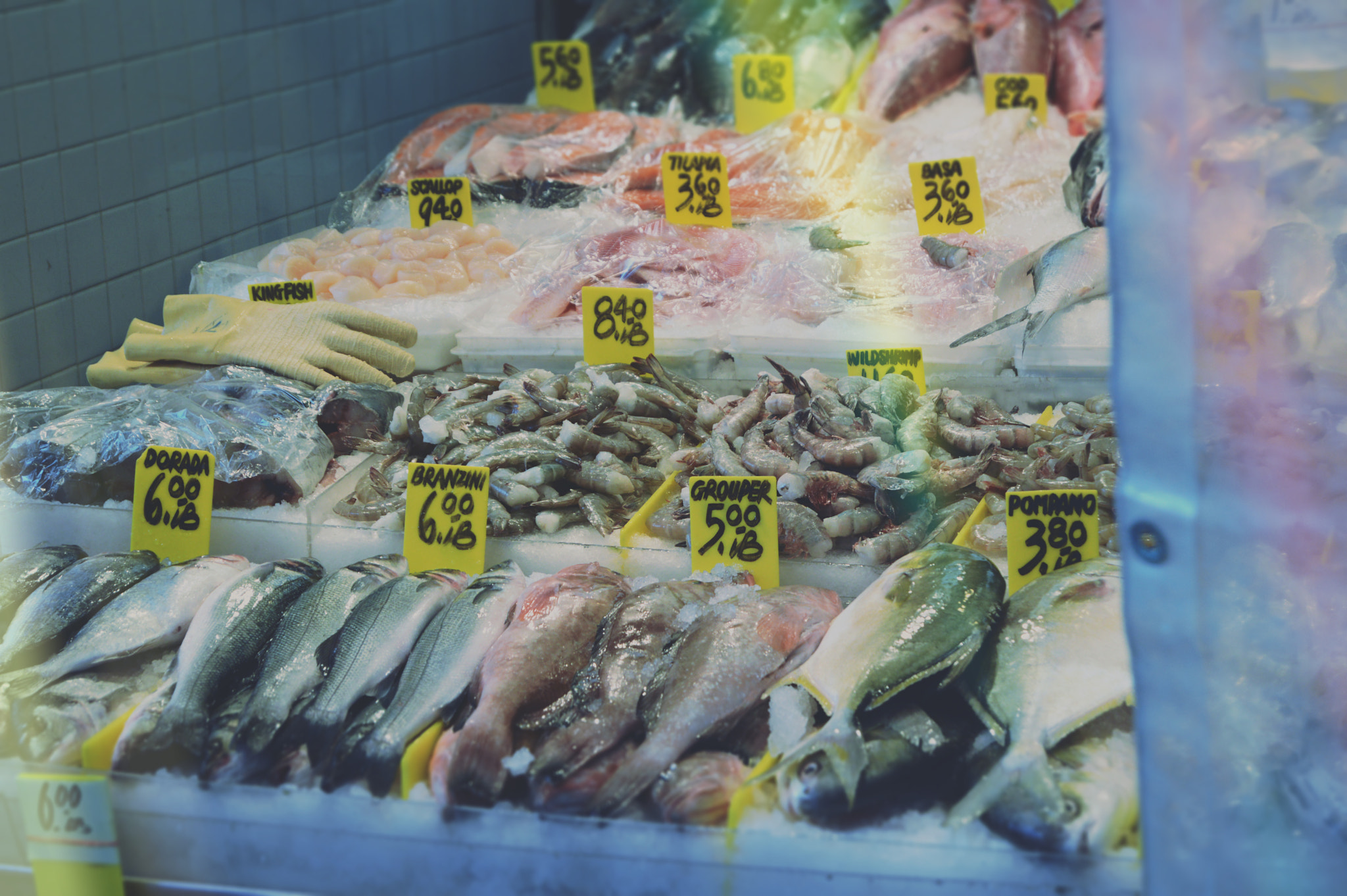 Fish Market