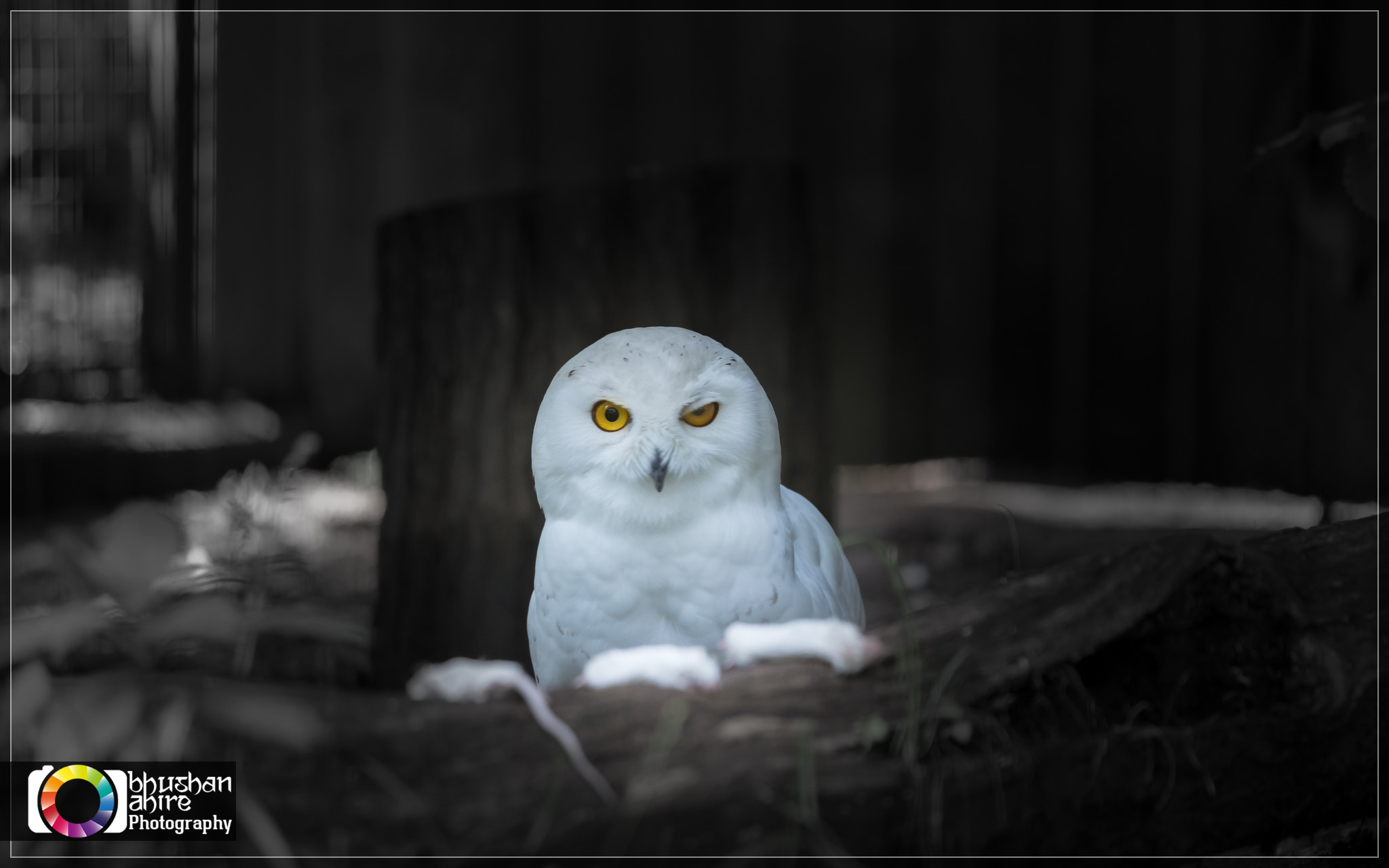 I am feeling dizzy ;)