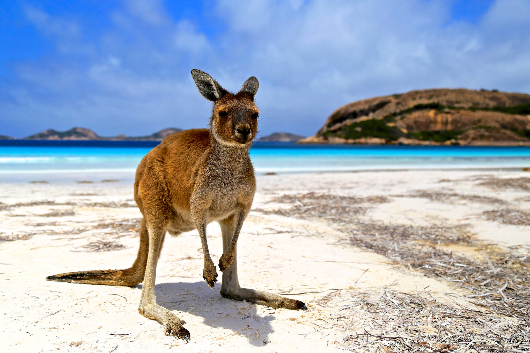 Lucky Bay