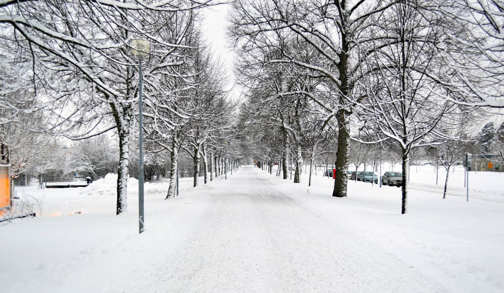 Winter photography - Winter Wonderland. by Malin Karlsson-Falk on 500px.com