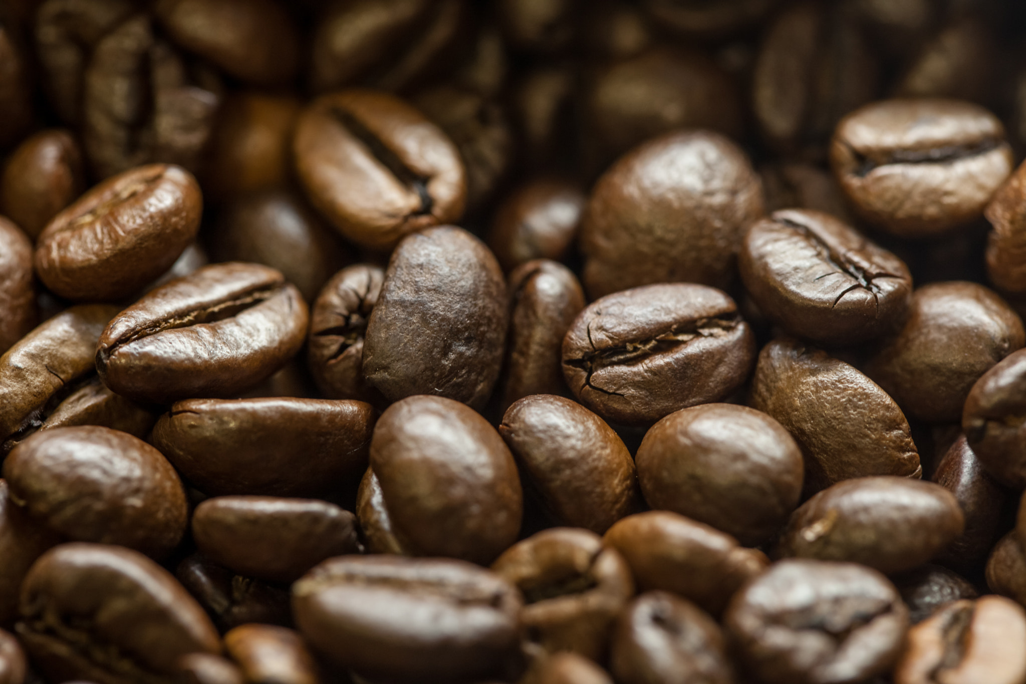 v2?sig=386e83ad69b1280570f2f57998c4742c30a8cd7abdd2a729a72be11135727ef6