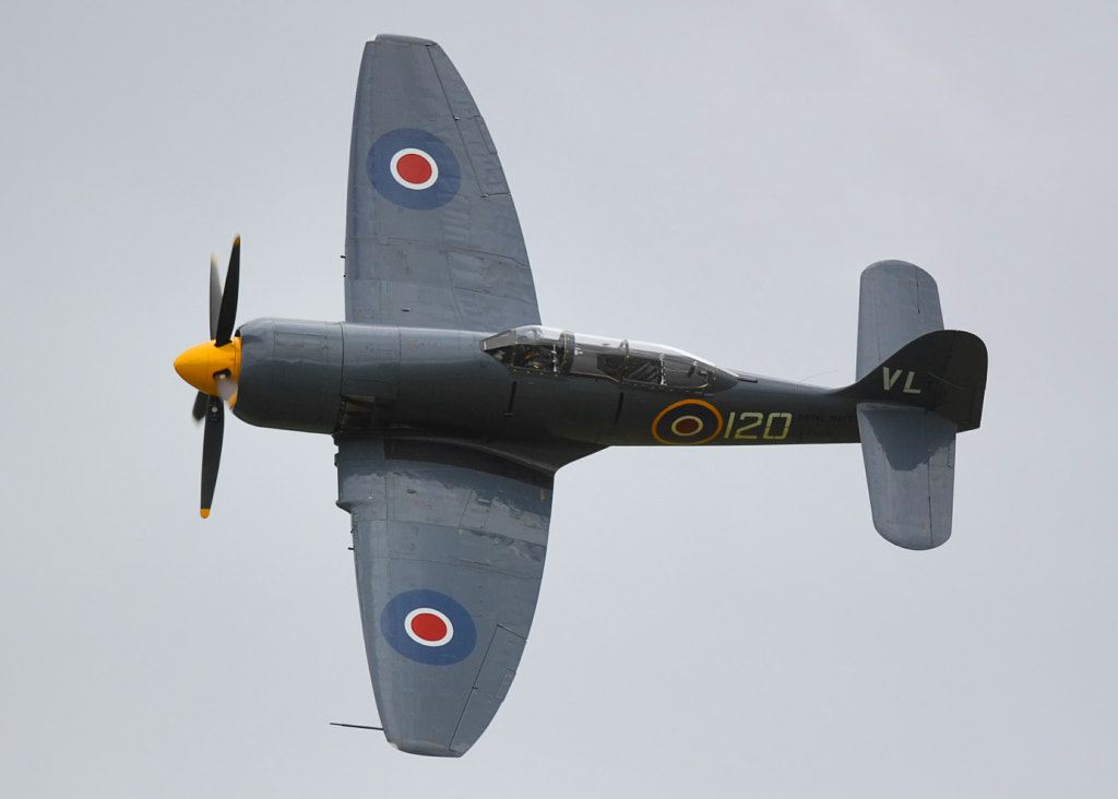 Hawker Sea Fury by James Lucas on 500px.com