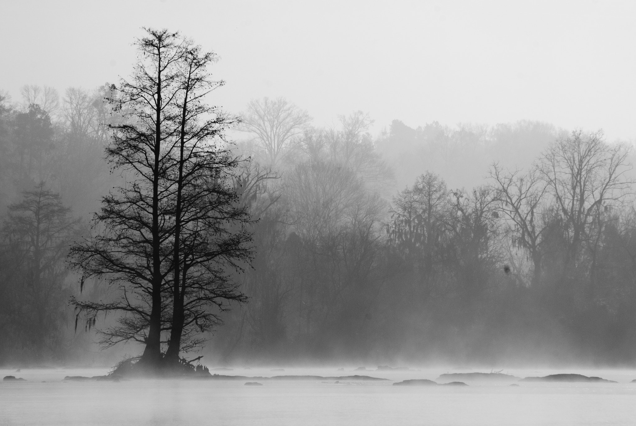 Savannah river