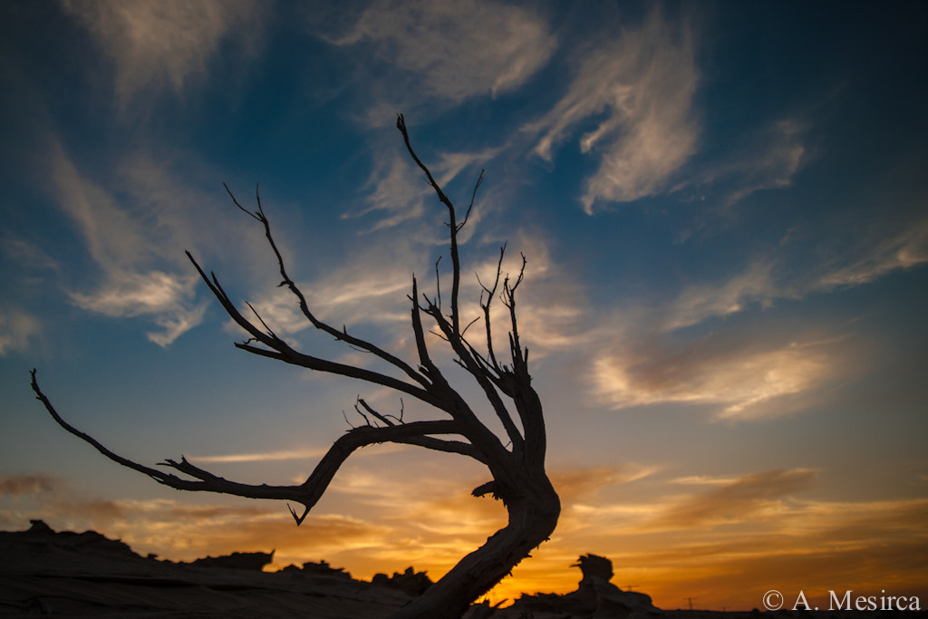 Sigma AF 10-20mm F4-5.6 EX DC sample photo. Untitled photography