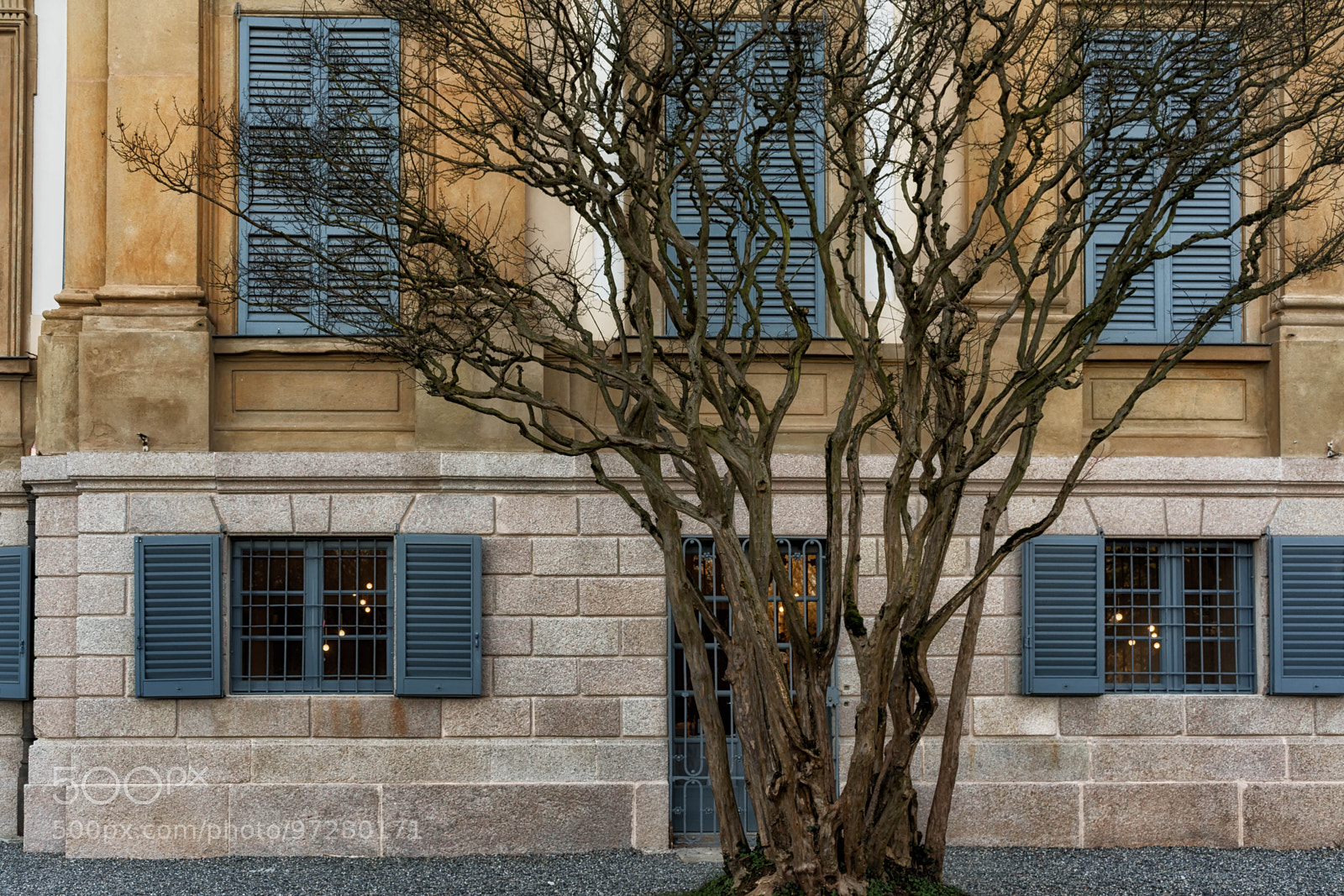 Nikon D7100 sample photo. Among my branches...tra i photography