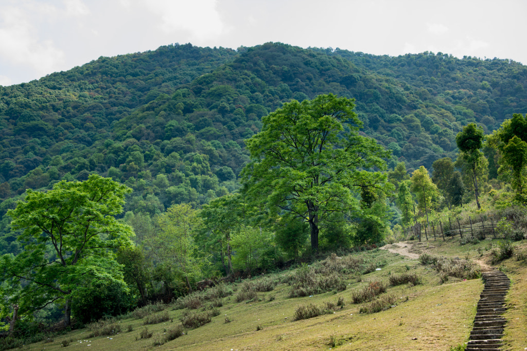 Great landscape in Champadevi by Ishwor Mali on 500px.com