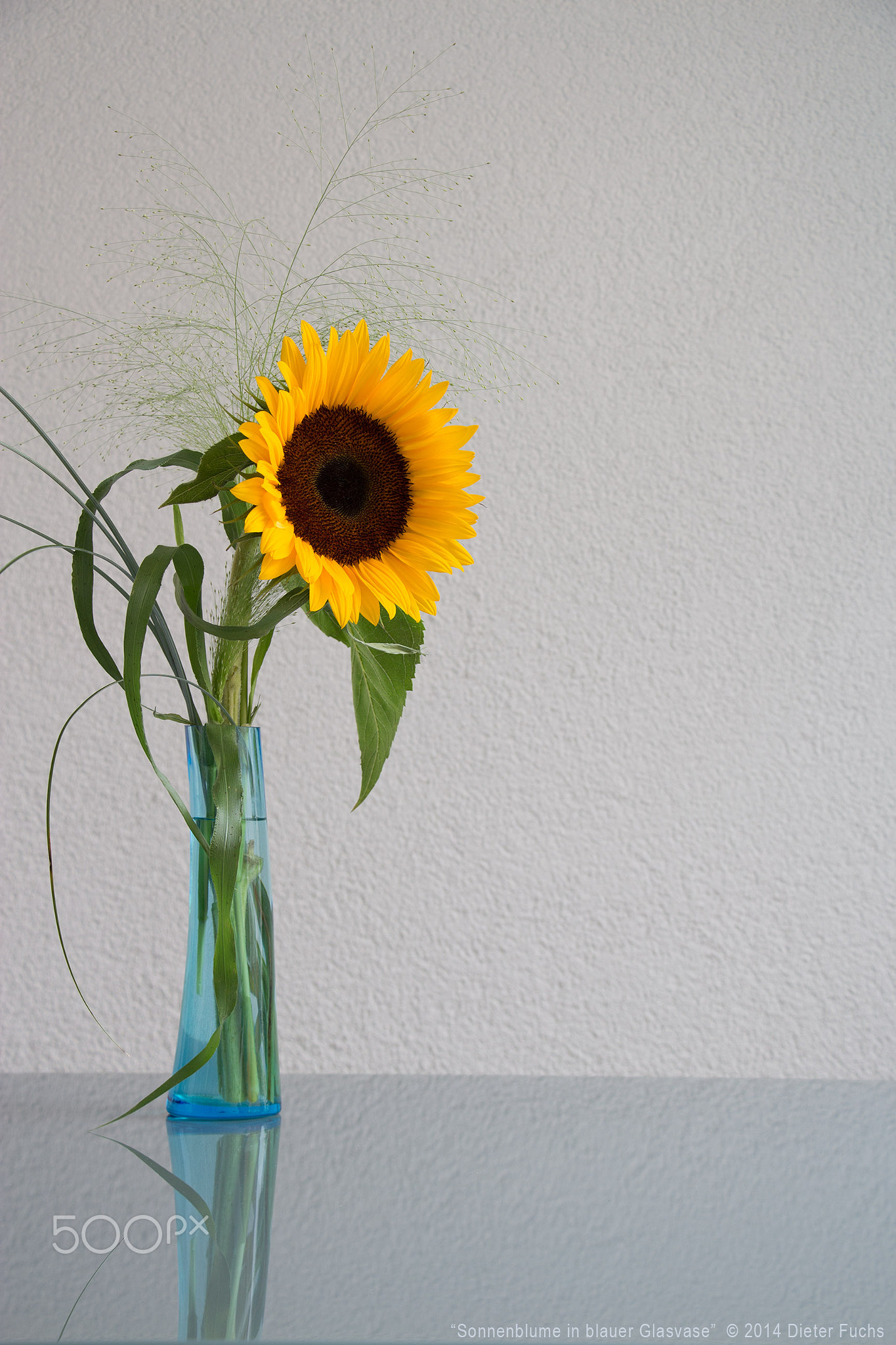 Sonnenblume in blauer Glasvase