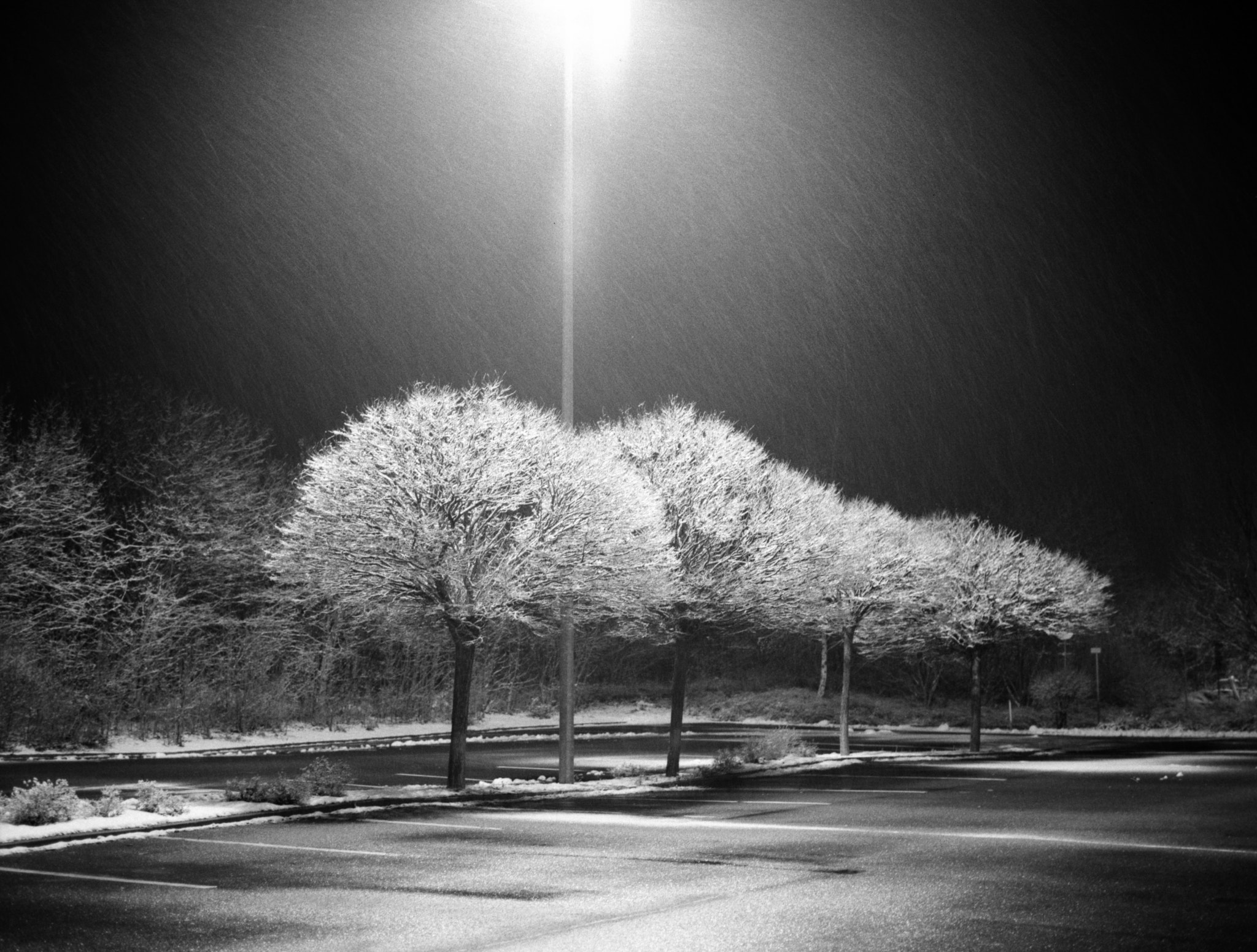 SnowRain