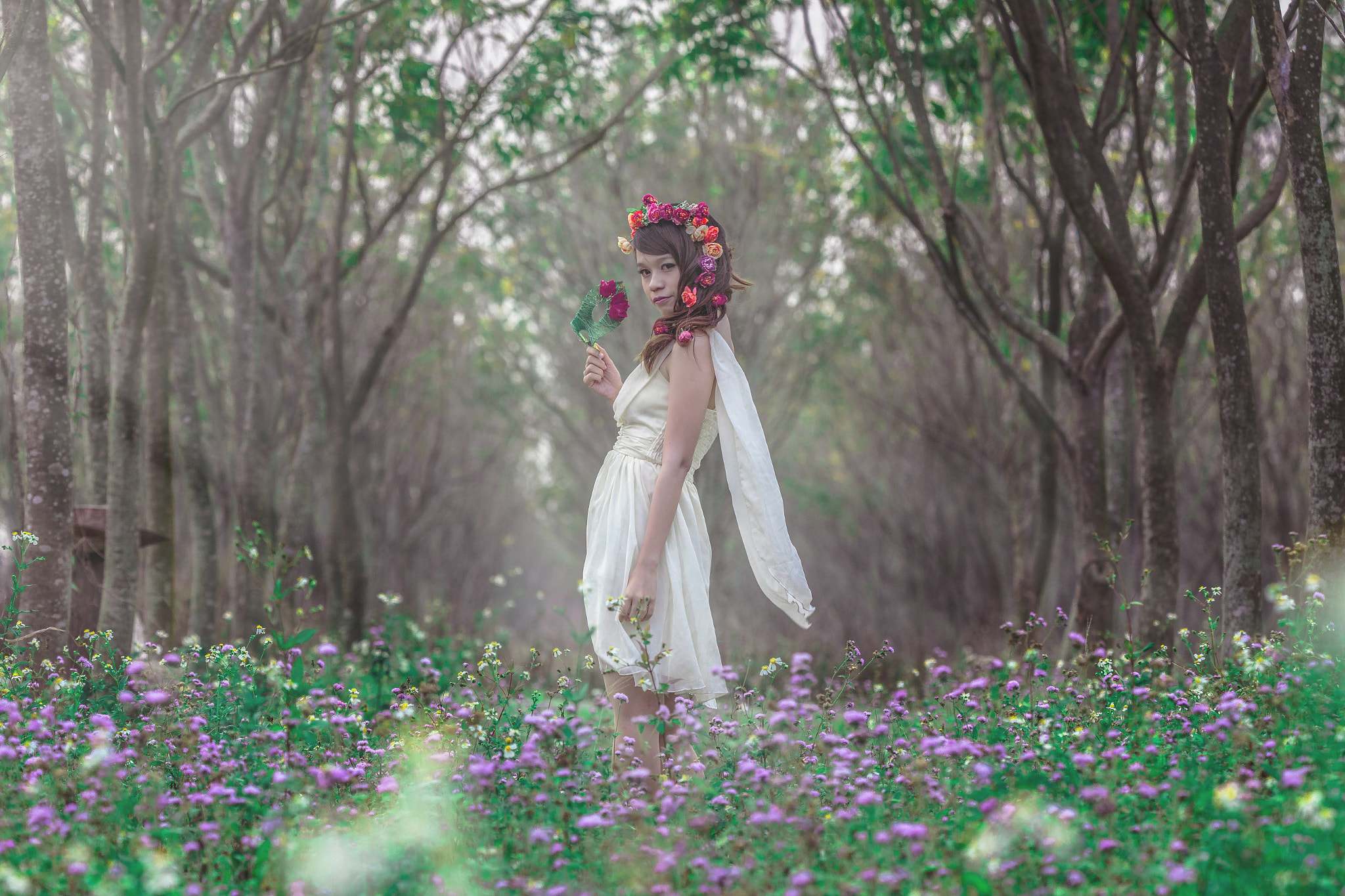 Fairy of Forest