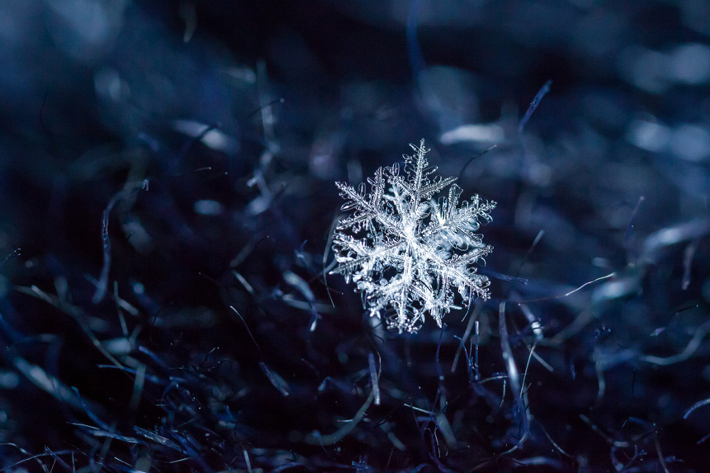 Snowflake by Natalia Sokko on 500px.com