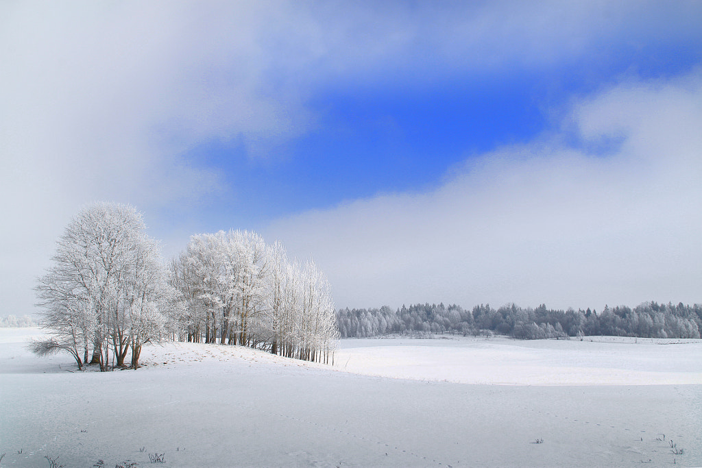 Winter panorama by Zenonas Rotautas on 500px.com