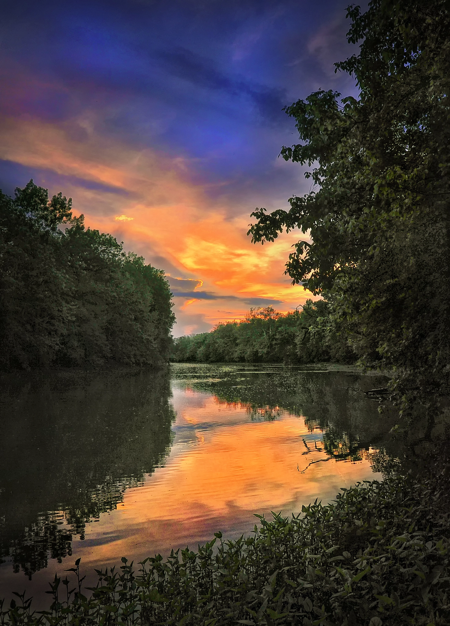 The River's Bend (Scioto River Between SR 42 and SR 36) by Brian
