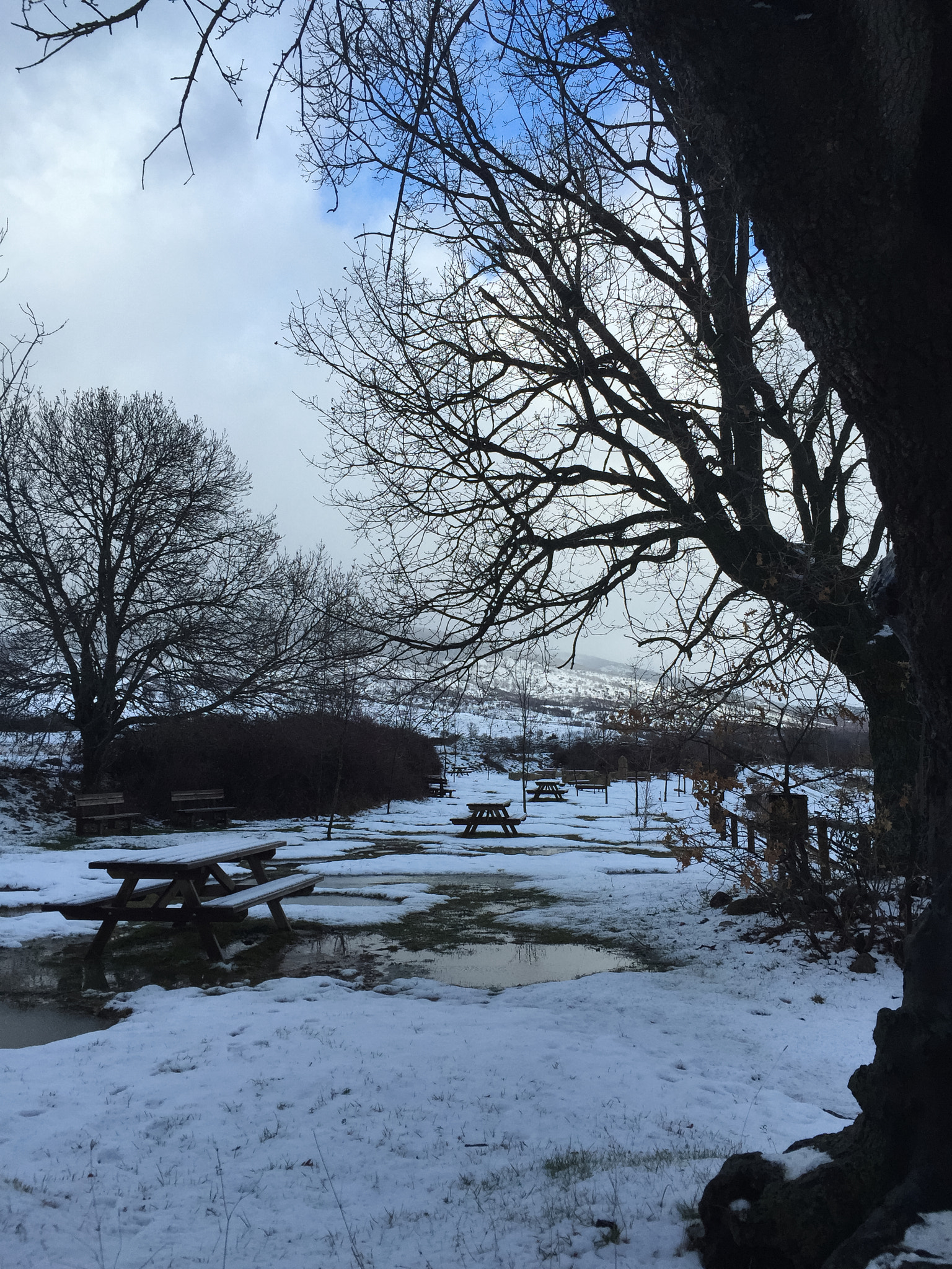 Snowy picnic tables